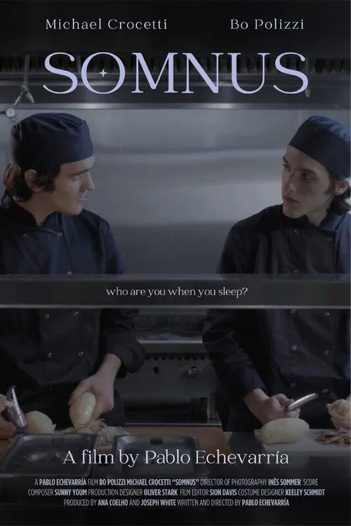 Movie poster for Somnus (2024)