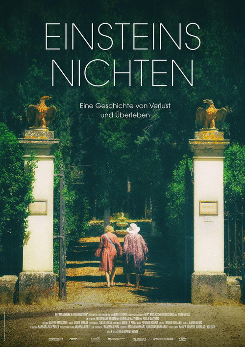 Movie poster for Einsteins Nichten (2017)
