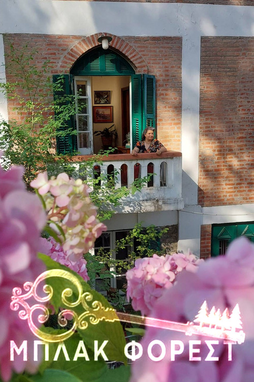 Μπλακ Φόρεστ poster