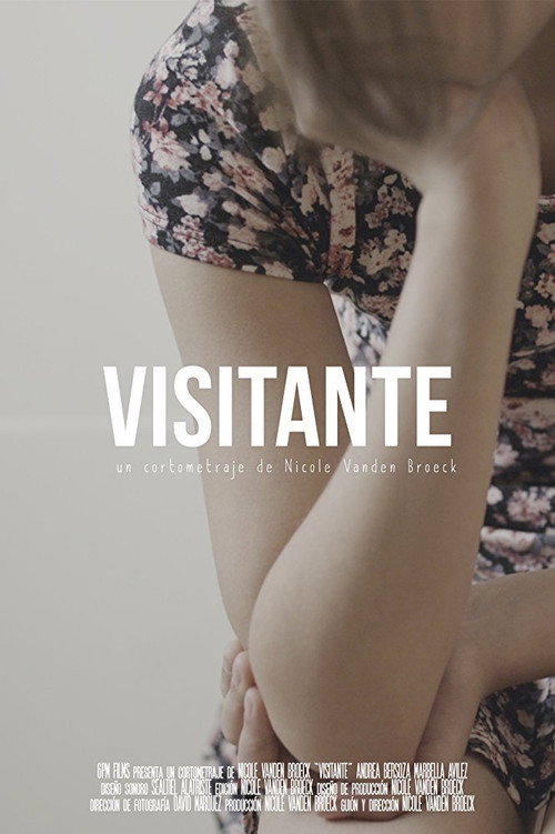 Movie poster for Visitante (2017)