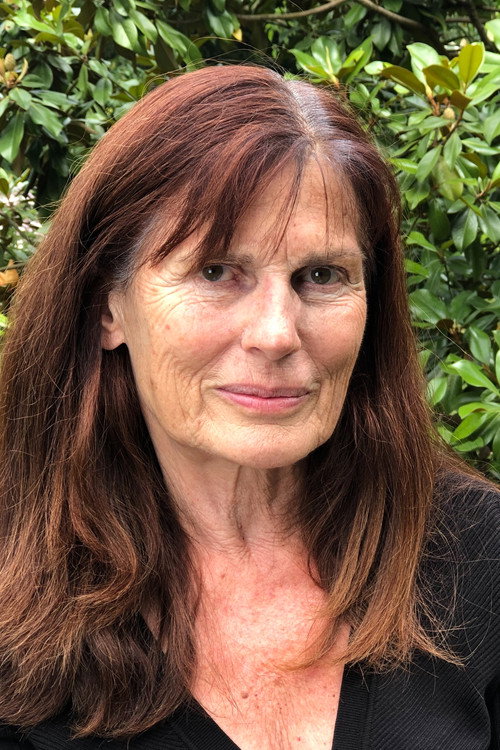 Photo of Jo Deseure, Acting