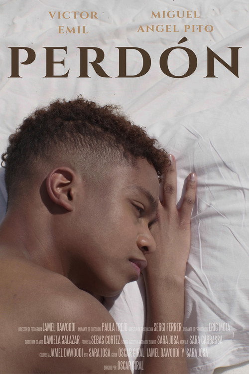 Movie poster for PERDÓN (2022)