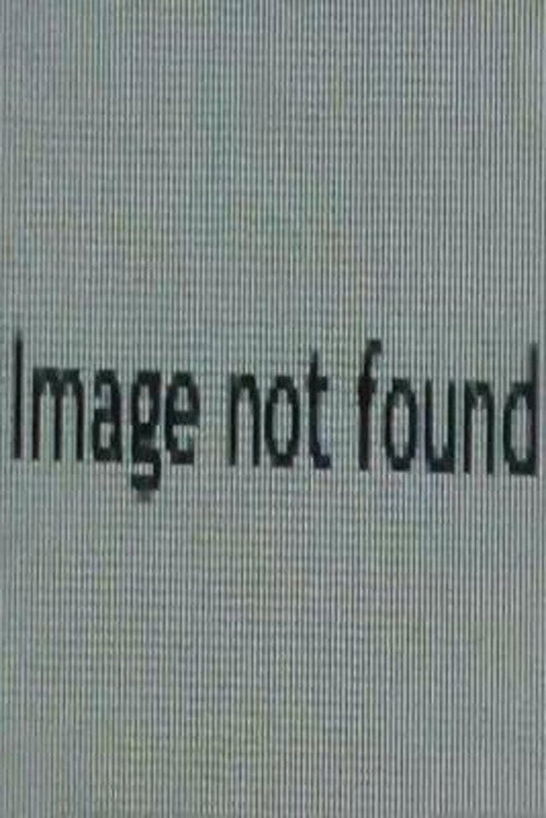 Movie poster for Image Not Found (2013)