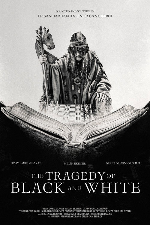 Movie poster for The Tragedy of Black and White (2024)