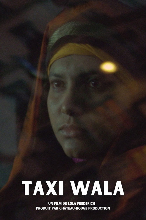 Movie poster for Taxi Wala (2008)