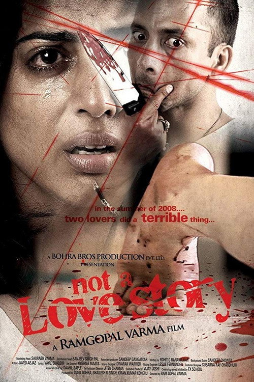 Movie poster for Not a Love Story (2011)