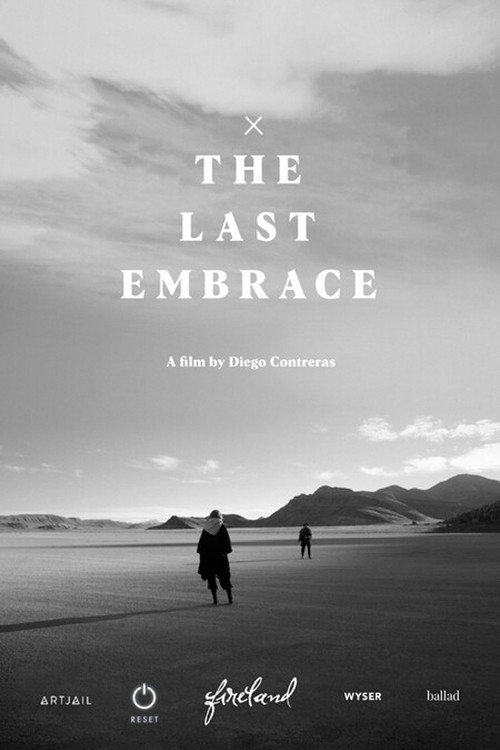 Movie poster for The Last Embrace