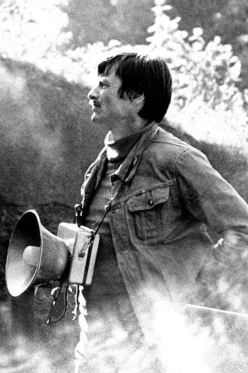 Movie poster for Andrei Tarkovsky's Taiga Summer (1994)