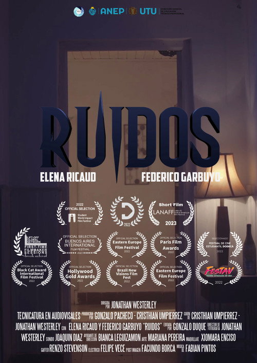Movie poster for Ruidos
