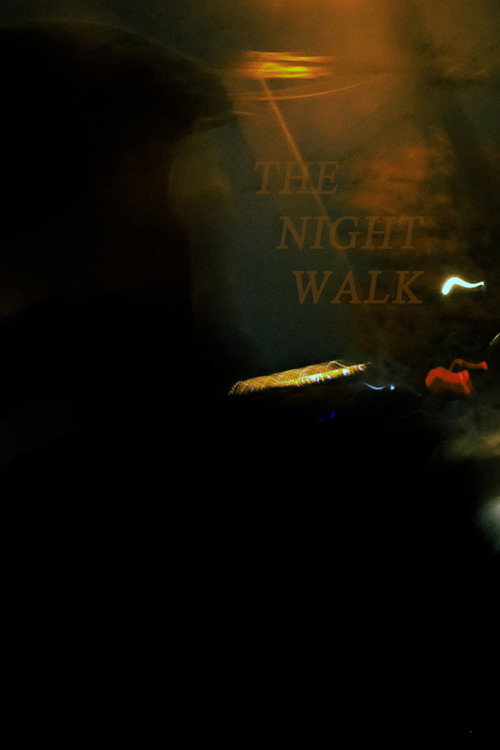 Movie poster for The Night Walk (2026)