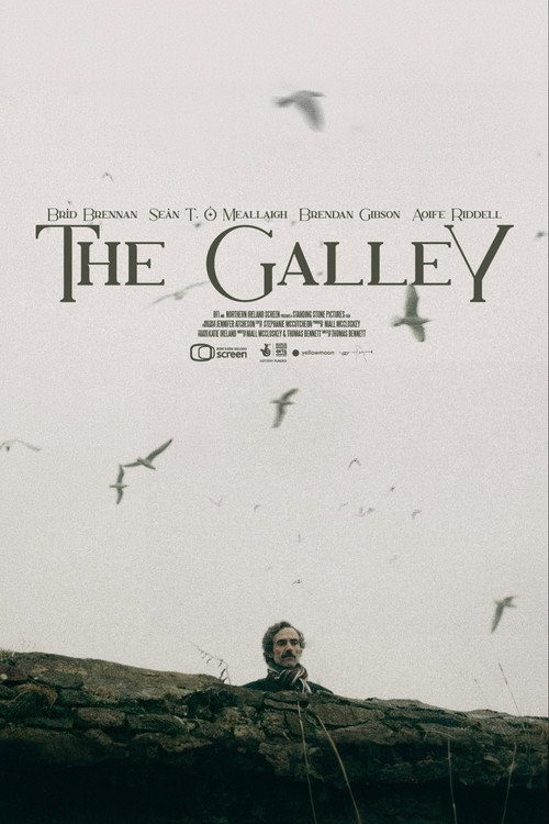 Movie poster for The Galley