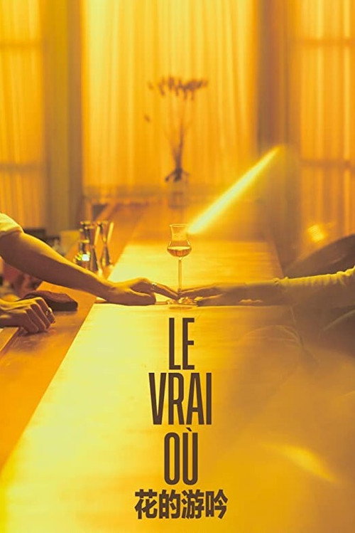 Movie poster for Le Vrai Où (2020)