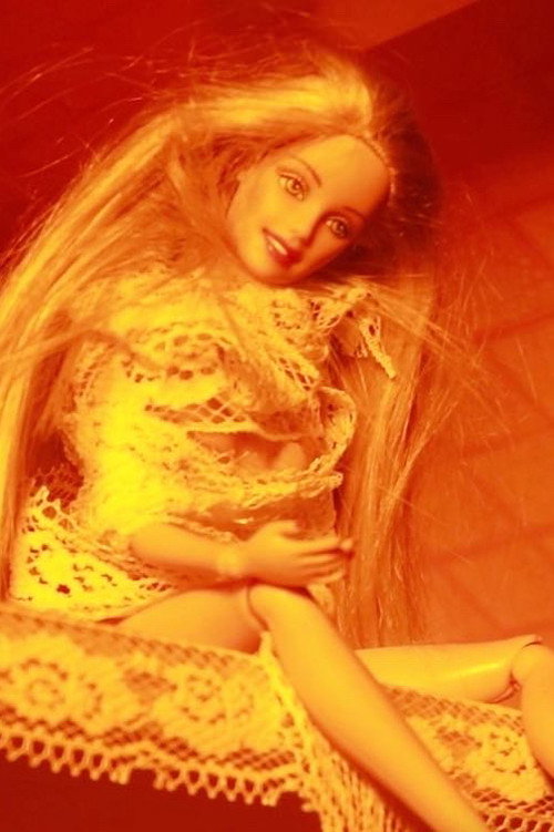Movie poster for Dollhouse