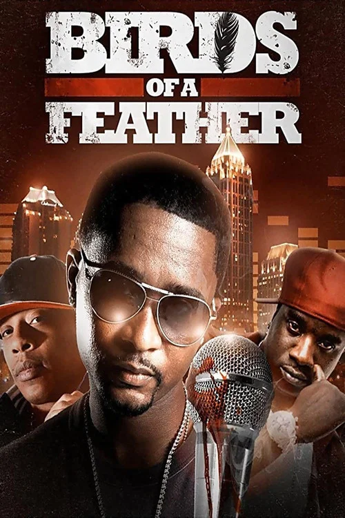 Movie poster for Birds of a Feather (2013)