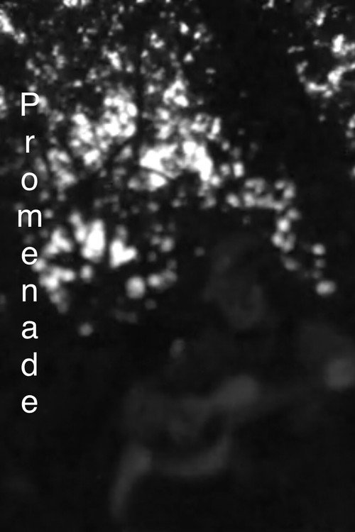 Movie poster for Promenade (2022)
