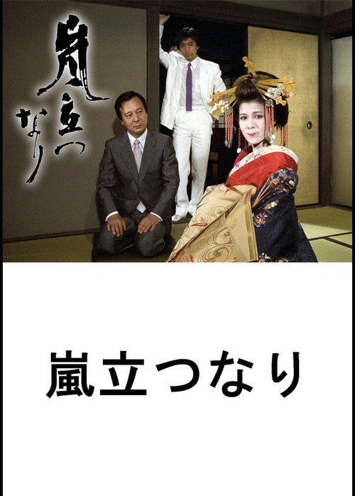 Movie poster for Arashi Tatsunari (1982)