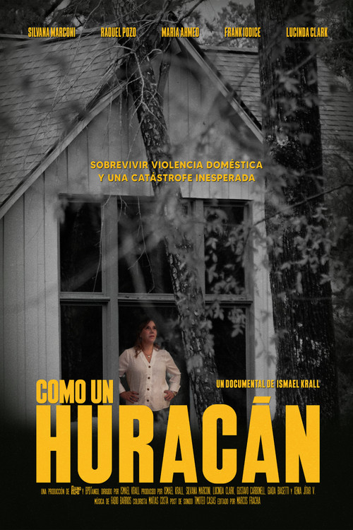 Movie poster for Como un huracán