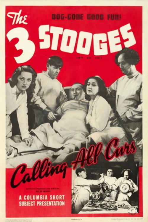 Movie poster for Calling All Curs (1939)