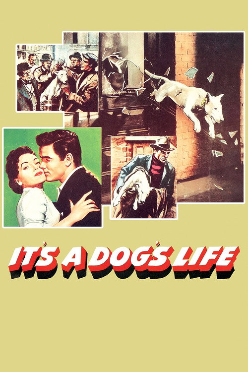 Movie poster for It's a Dog's Life (1955)