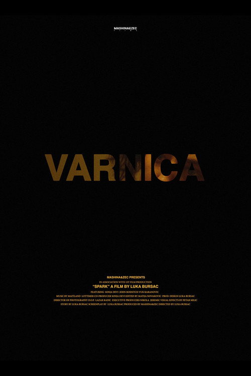 Movie poster for Spark (2021)