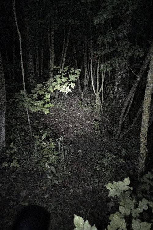 Movie poster for Untitled Found Footage Project
