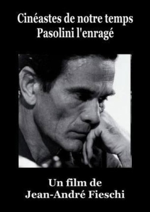 Movie poster for Pasolini l'Enragé (1966)