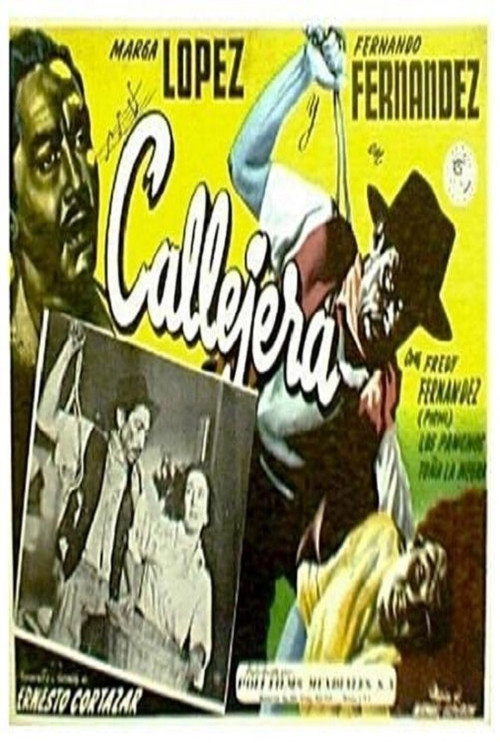 Movie poster for Callejera (1949)