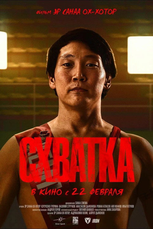 Movie poster for Fight (2024)