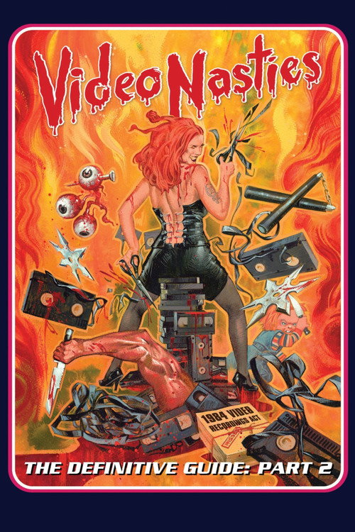 Movie poster for Video Nasties - The Definitive Guide Part 2 - The Section 3 List A-L (2014)