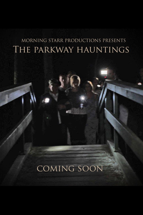 Movie poster for The Parkway Hauntings (2015)