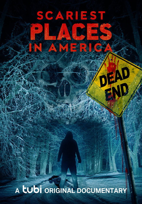 Movie poster for Scariest Places in America (2023)