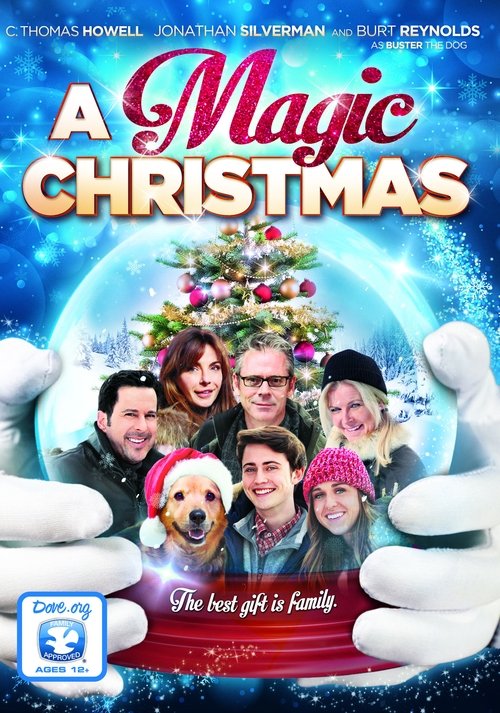 Movie poster for A Magic Christmas (2014)