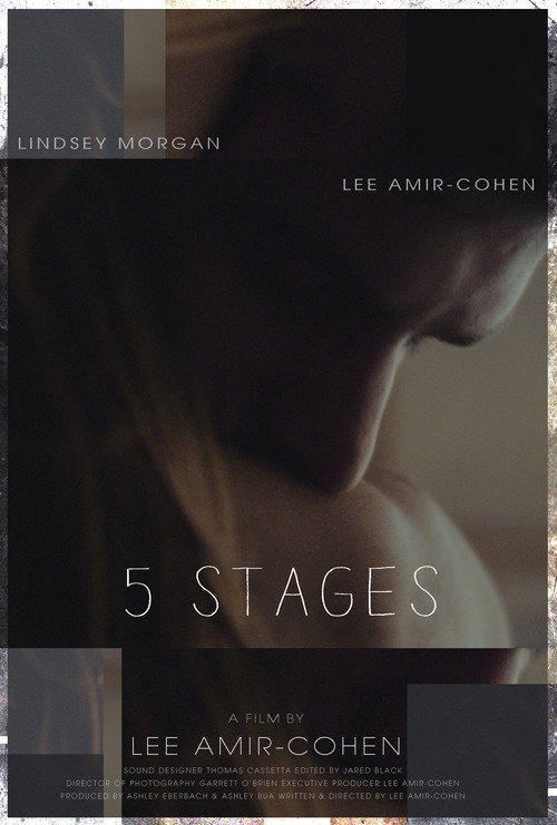 Movie poster for 5 Stages (2014)