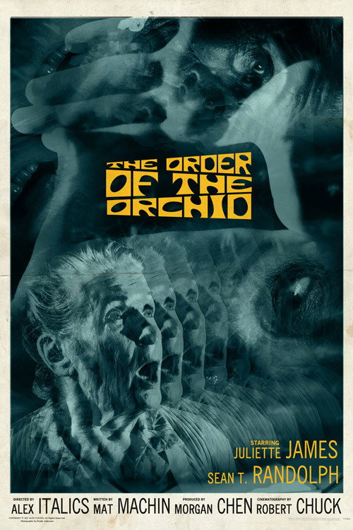 Movie poster for The Order of the Orchid (2017)