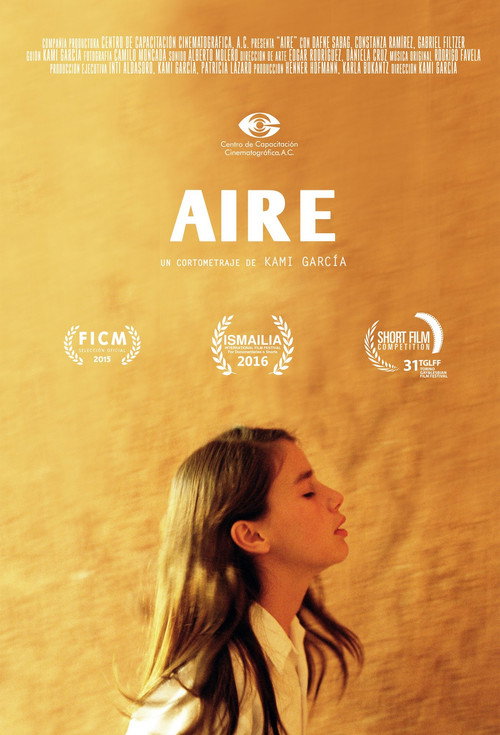 Movie poster for Air (2015)
