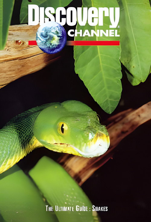 Movie poster for The Ultimate Guide: Snakes (1997)