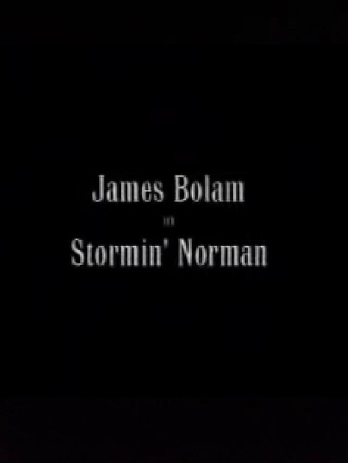 Movie poster for Stormin' Norman (2000)