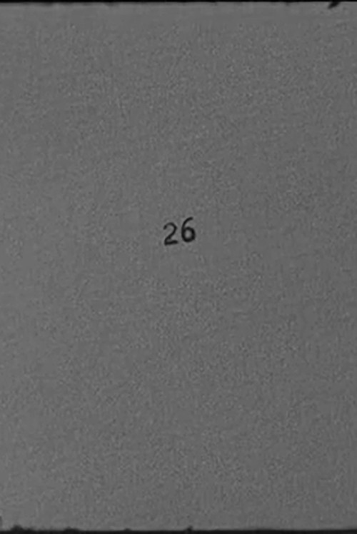 Movie poster for 26 (2013)