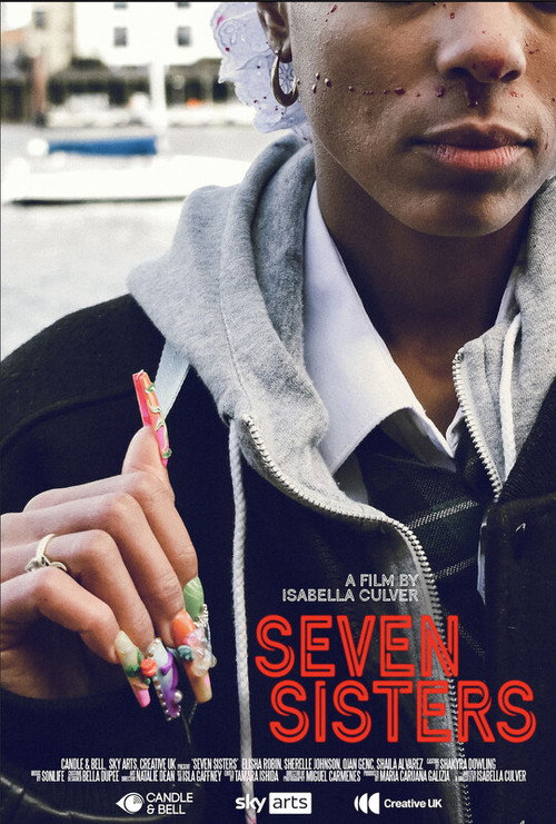 Movie poster for Seven Sisters (2024)