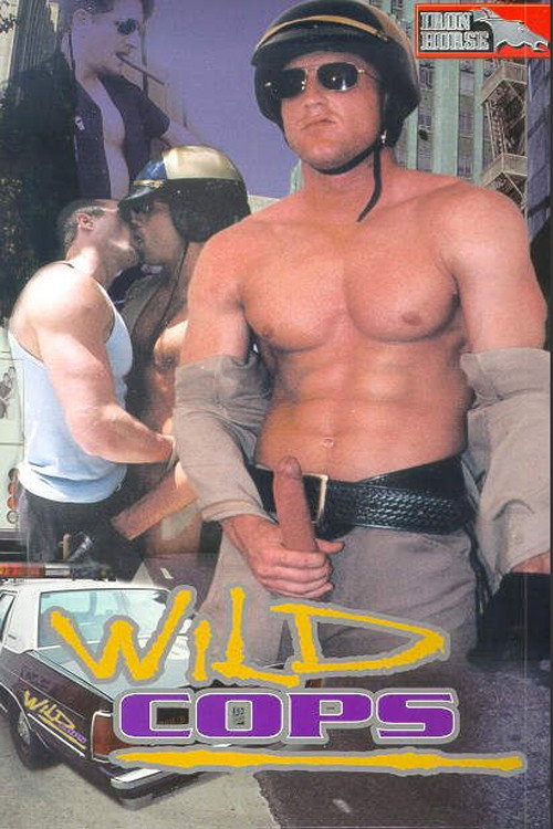 Movie poster for Wild Cops (1999)