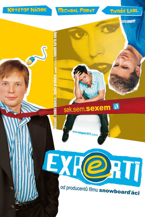 Movie poster for Experti (2006)