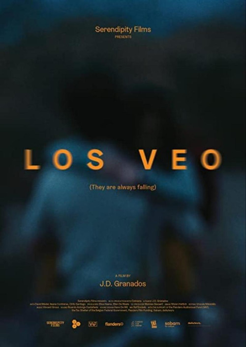 Movie poster for Los Veo (2020)