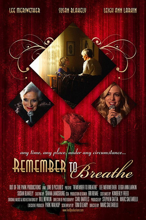 Movie poster for Remember to Breathe (2013)