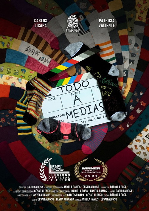 Movie poster for Todo a medias (2025)
