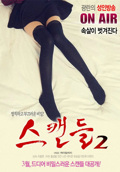 Movie poster for Scandal 2 (2017)