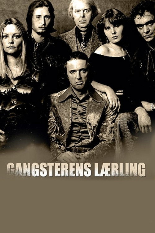 Movie poster for The Gangster's Apprentice (1976)