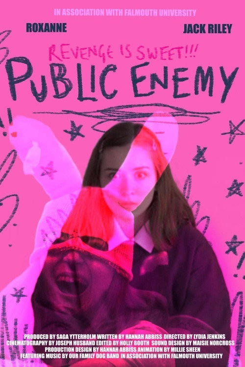 Movie poster for Public Enemy