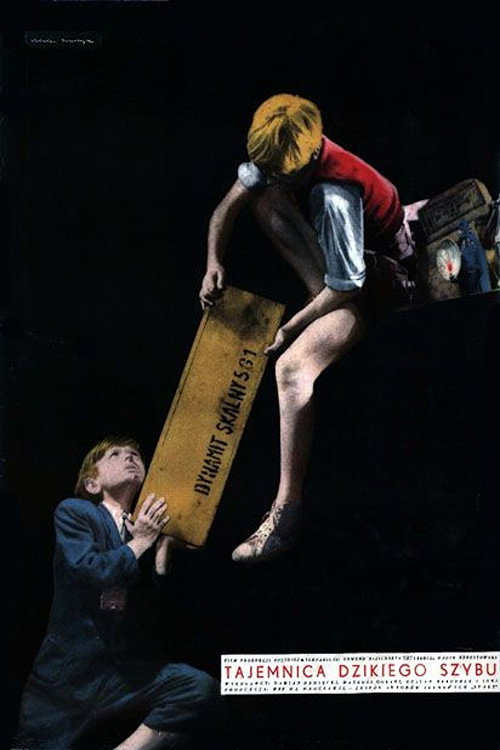 Movie poster for Tajemnica dzikiego szybu (1956)