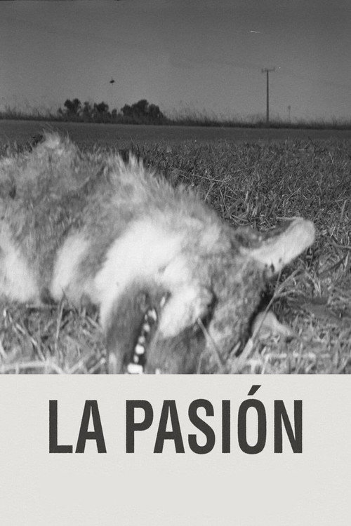 Movie poster for The Passion (2024)
