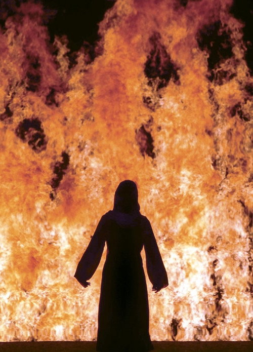 Movie poster for Fire Woman (2005)